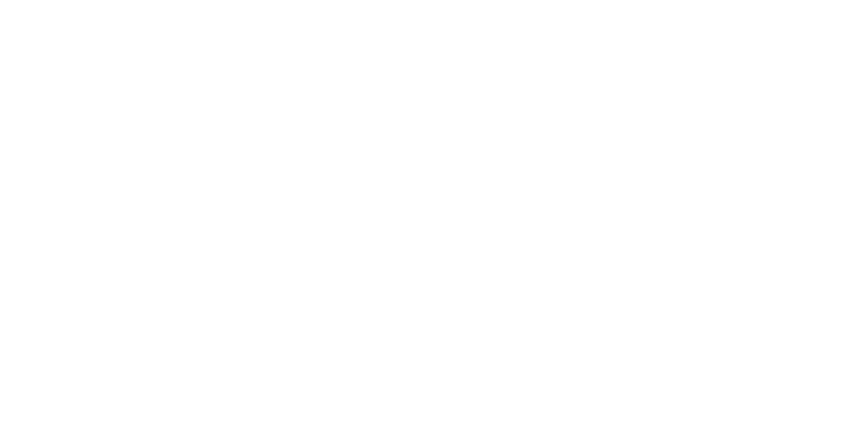 Premier Properties Logo